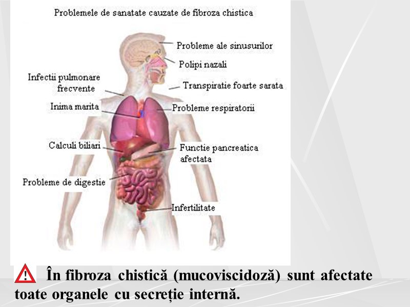 În fibroza chistică (mucoviscidoză) sunt afectate toate organele cu secreție internă.